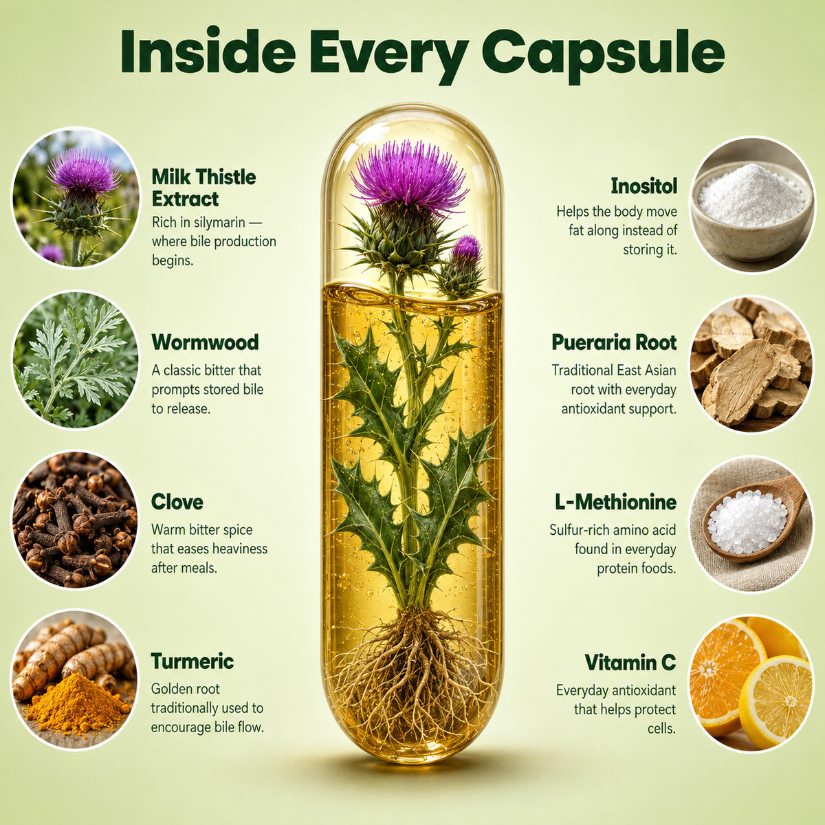 Gevilo® Milk Thistle Liver & Digestive Relief